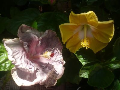 P1450599