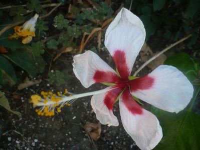 P1450616