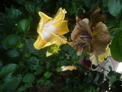 P1450644
