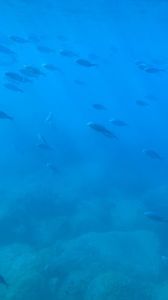 E99B2933-2F7C-4550-8A28-6FD9E524B63E