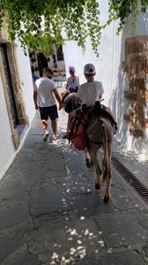 7C703B3E-240B-4A0F-A60A-16CB4C17FE6D