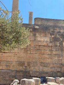 2AF1DF1A-9A10-4D68-82BF-1E159EEE506B