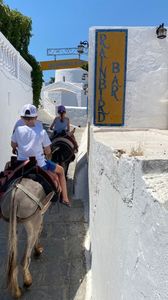 167DCB0D-B71C-4652-B5E3-FF55EA54FD5A