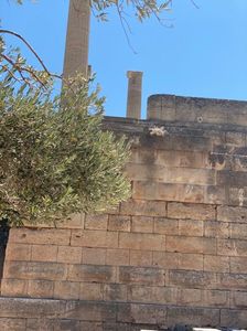 E1DFF94A-E901-42B8-8B25-EDE81A2CBFC6