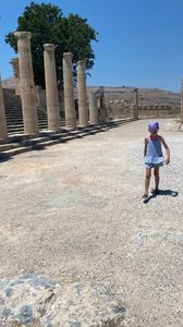 E4AC031A-2463-4D14-B029-18F7CBA7519A