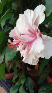 IMG-20200821-WA0026