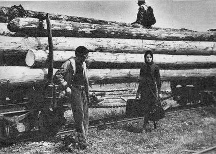 Printre Colinele Verzi