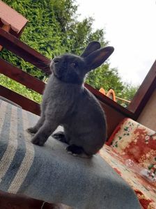 D89C7F17-7E7B-4F33-A5A4-AAFBB93C3634