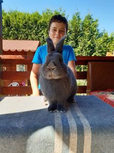 CCB6A640-EAF9-47E3-8146-60BC0F6C80B0