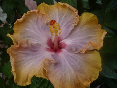 P1460225