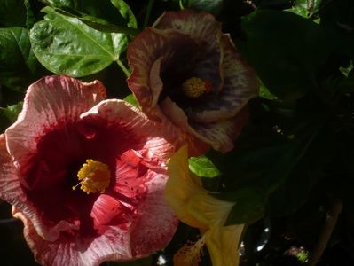 P1460261