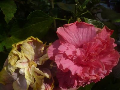P1460346