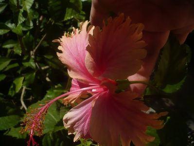 P1460390