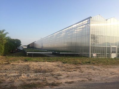 18.09.2020; Azi am ajuns 15 min mai devreme și cum magazinul era inchis,soarele strălucea m-am gândit să vă arăt și ceea ce e in spatele “cortinei”!
