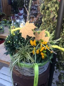 Se schimbă decorul...; ...a venit toamna
