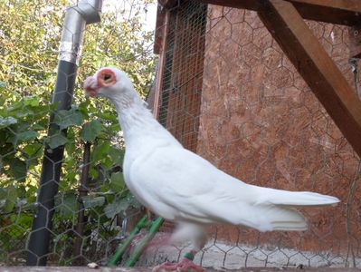 SAM_6965