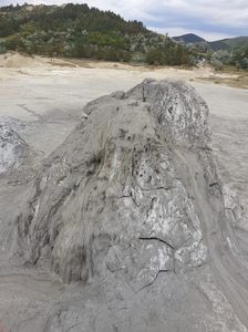 IMG-20200810-WA0010