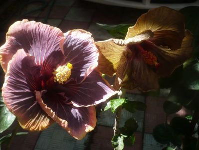 P1460780