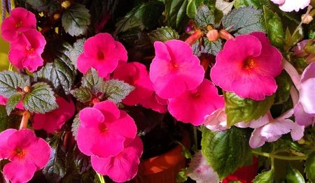 20201004_104507-1