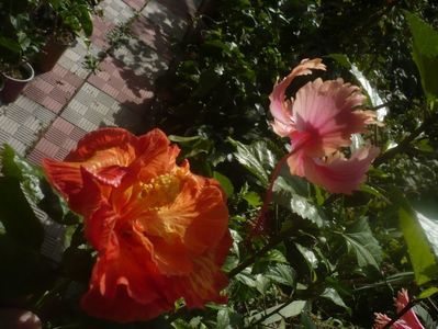 P1460850