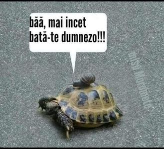 IMG-20201007-WA0011