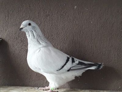 received_841244359949800