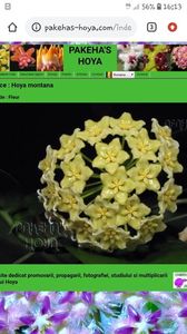 Screenshot_20201013-161300_Chrome