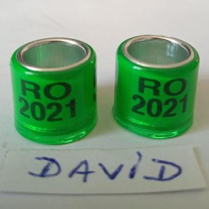 2021-verde  8mm....-1 leu