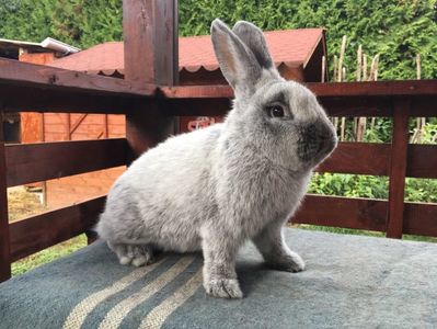 DE3BBF4D-D533-42CB-A813-38303D8674EB