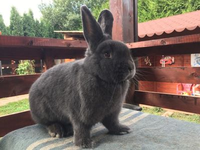 52406573-BB3D-4487-9978-2D2375B85F99