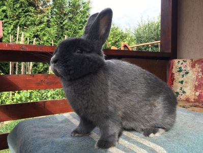 2555B901-44DD-4868-9A93-CB1C4DF18171