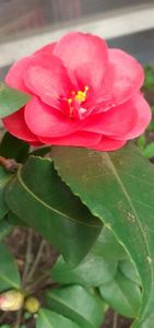 20200404_111043(0)