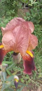 20200430_111428(0)