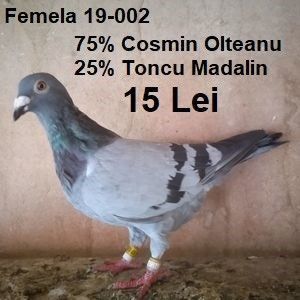 Femela 19-002