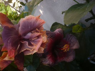 P1470046