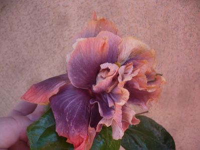 P1470058