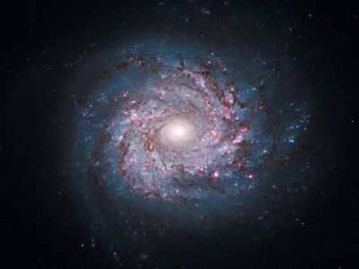 Secret Galaxy Universe space; Sunt prins intr-un labirint de stele
