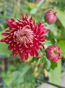 20201105_133120(0)