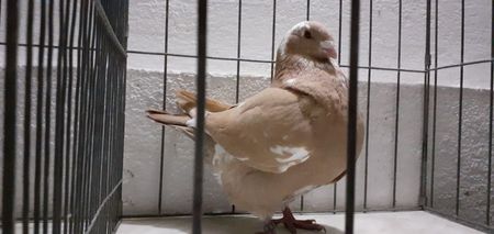 20201106_183421(0)
