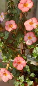 20201108_081000_resized