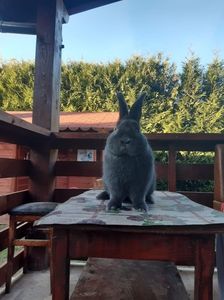 4B0A28BB-B1BE-45C2-A1D3-FD3EA41CF5FD