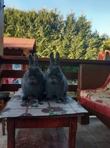 80AAE3B9-6719-438C-9ACE-5C5C1C4ABFA0