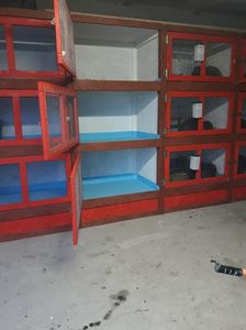 IMG-20201108-WA0003