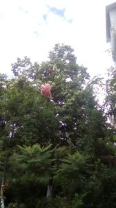IMG-20180701-WA0146