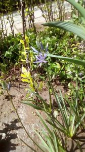 IMG-20190427-WA0001