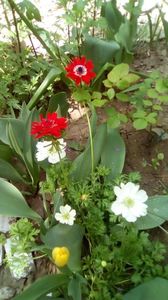 IMG-20190430-WA0000