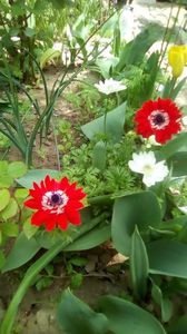 IMG-20190430-WA0004