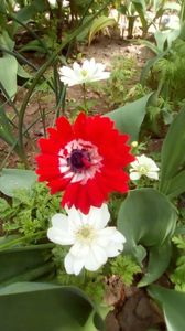 IMG-20190430-WA0007