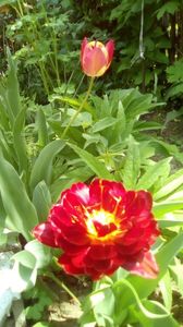 IMG-20190430-WA0010