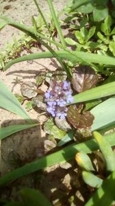 IMG-20190430-WA0017